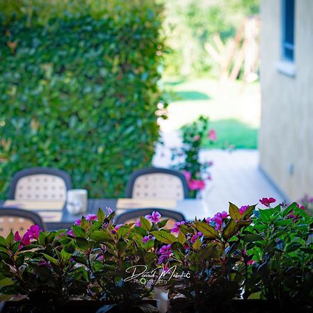 Agriturismo Olistella Palazzolo dello Stella Luaran gambar