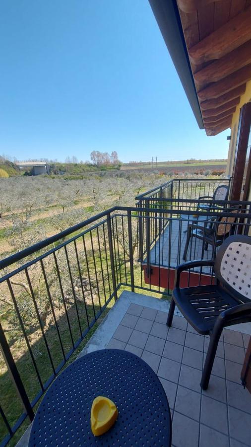 Agriturismo Olistella Palazzolo dello Stella Luaran gambar