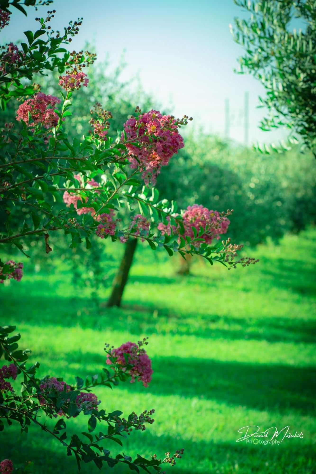 Agriturismo Olistella Villa Palazzolo dello Stella Luaran gambar