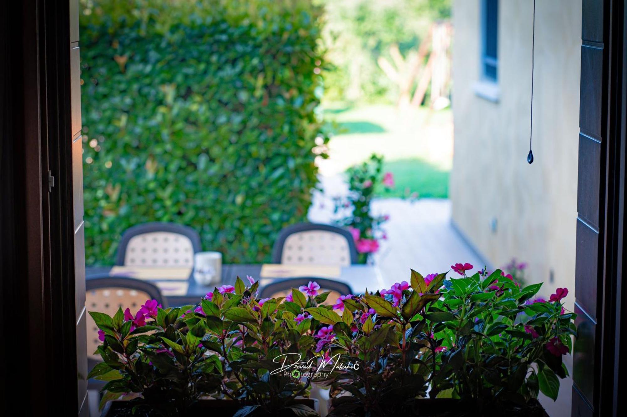 Agriturismo Olistella Palazzolo dello Stella Luaran gambar